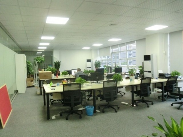 苏州办公室除甲醛靠谱企业