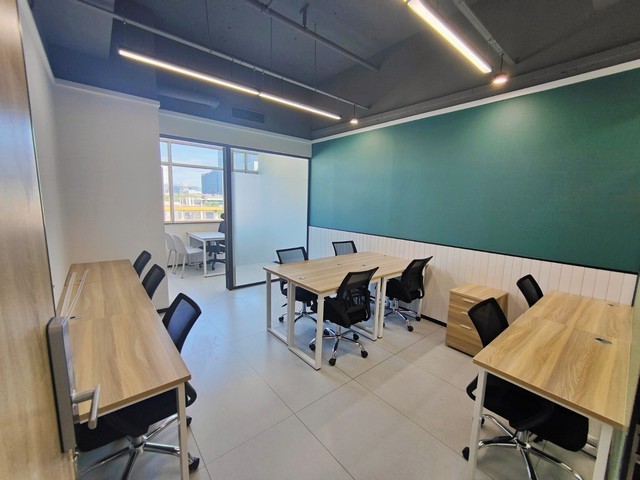 广东煲汤用中华草龟养殖厂