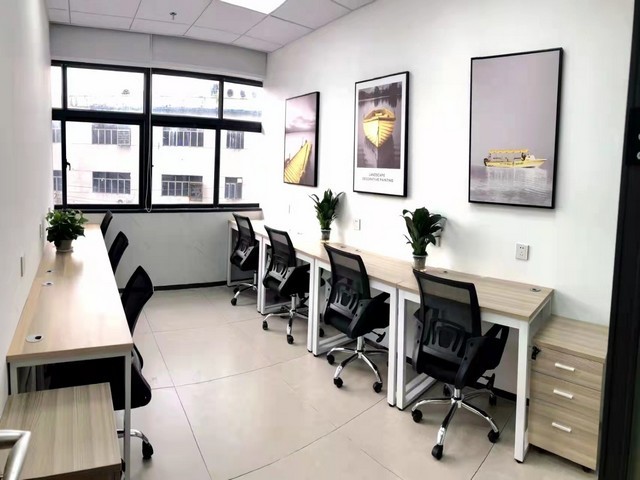 十堰宠物猫梳定制